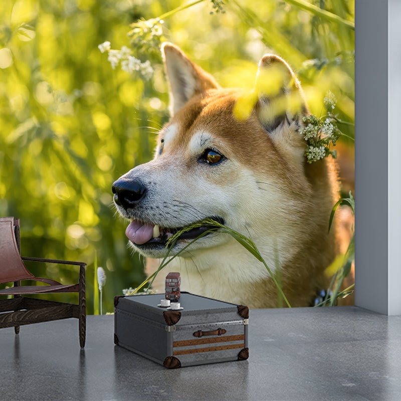 Shiba Inu Mural Environment Friendly Wallpaper Home Decoration for Bedroom