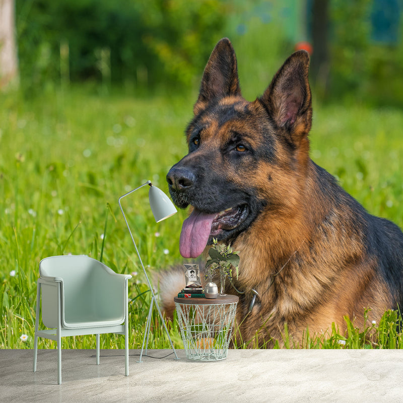Handsome German Shepherd Mural Wall Decor Living Room Wall Covering for Decoration