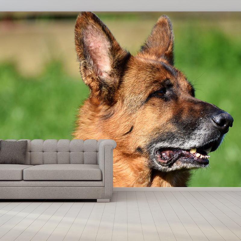 Handsome German Shepherd Mural Wall Decor Living Room Wall Covering for Decoration