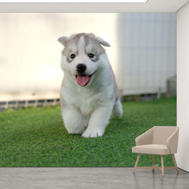 Lovely Husky Mural Wall Decor Living Room Wall Covering for Decoration