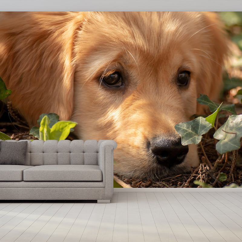 Lovely Golden Retriever Mural Wall Decor Living Room Wall Covering for Decoration