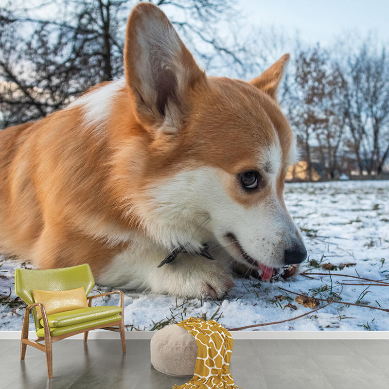 Lovely Corgi Mural Wall Decor Living Room Wall Covering for Decoration