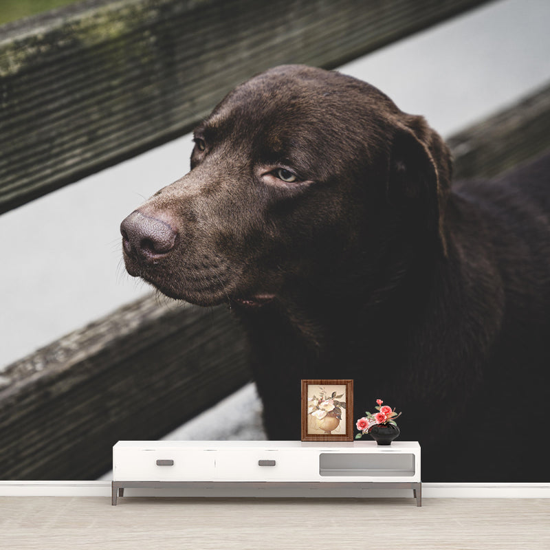 Lovely Labrador Mural Wall Decor Living Room Wall Covering for Decoration