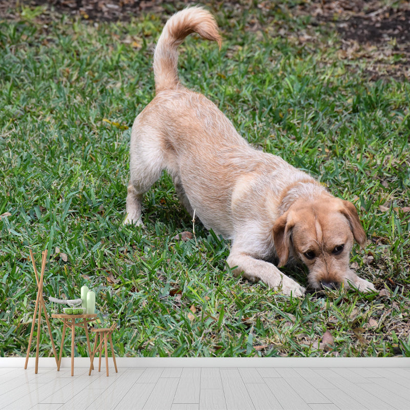 Lovely Labrador Mural Wall Decor Living Room Wall Covering for Decoration