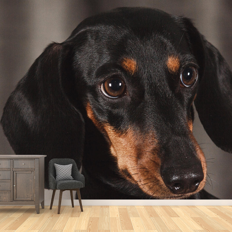 Lovely Dachshund Dog Mural Wall Decor Living Room Wall Covering for Decoration