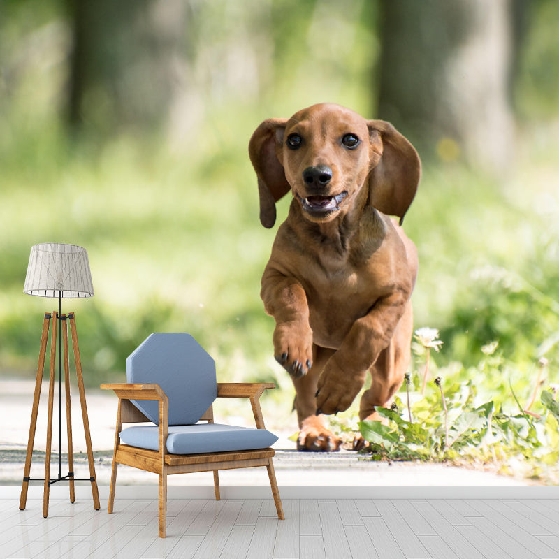 Lovely Dachshund Dog Mural Wall Decor Living Room Wall Covering for Decoration