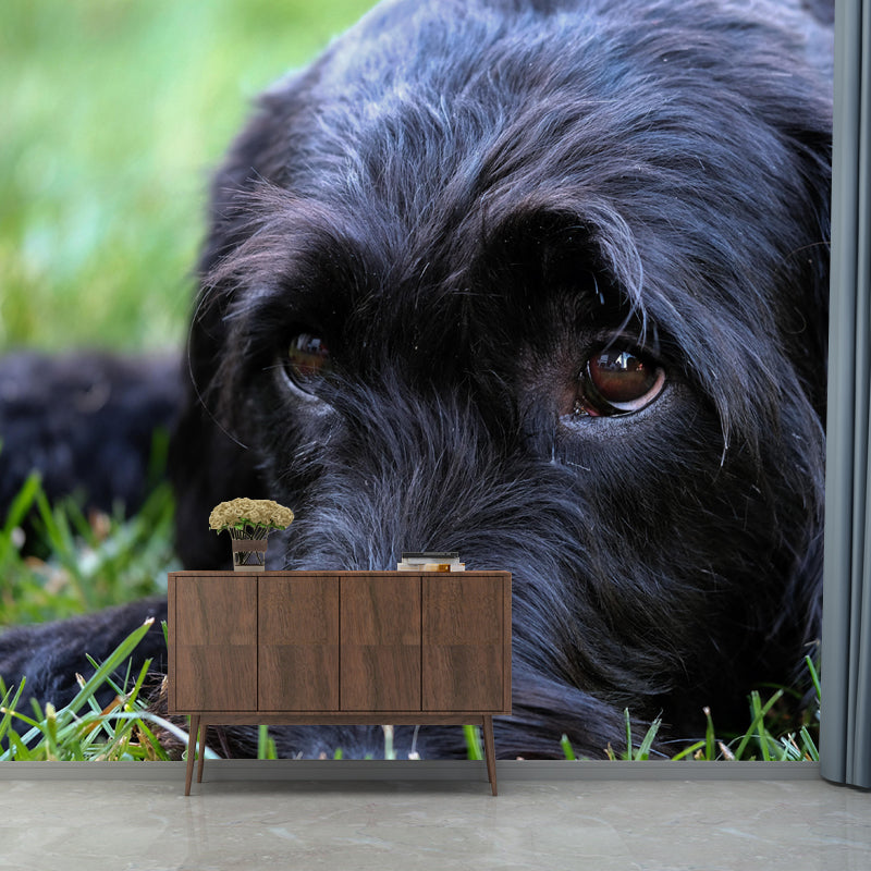 Contemporary Schnauzer Wall Decor Living Room Wall Covering Mural for Decoration