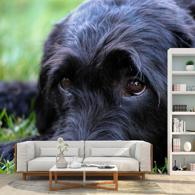 Contemporary Schnauzer Wall Decor Living Room Wall Covering Mural for Decoration