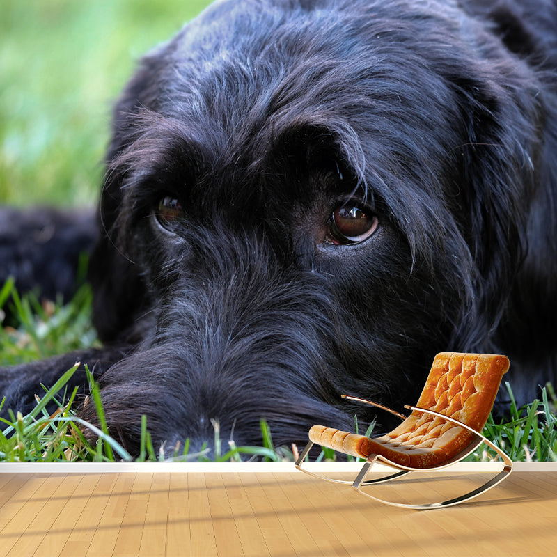 Contemporary Schnauzer Wall Decor Living Room Wall Covering Mural for Decoration