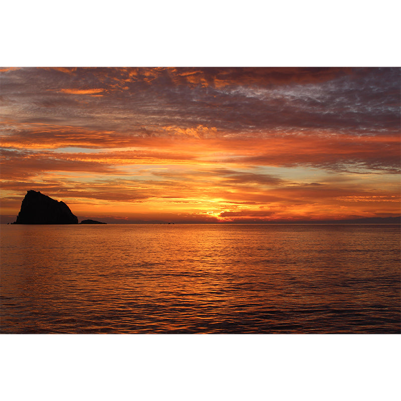 Boundless Sea Mural Environment Friendly Wallpaper Decoration for Living Room