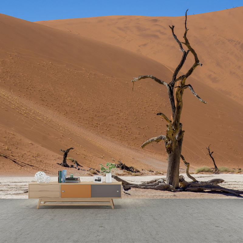 Desert Landscape Mural Photography Wall Decor for Sitting Room