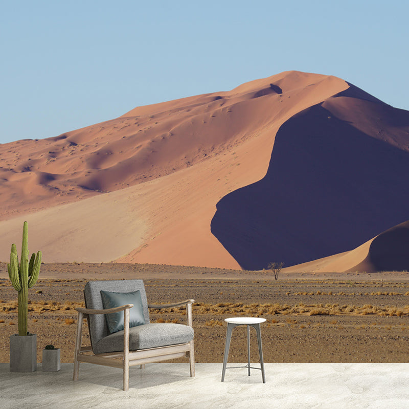 Desert Landscape Mural Horizontal Photography Wall Decor for Living Room