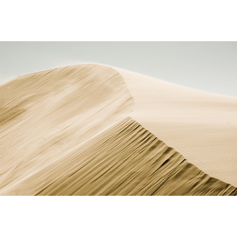 Desert Landscape Mural Horizontal Photography Wall Decor for Living Room