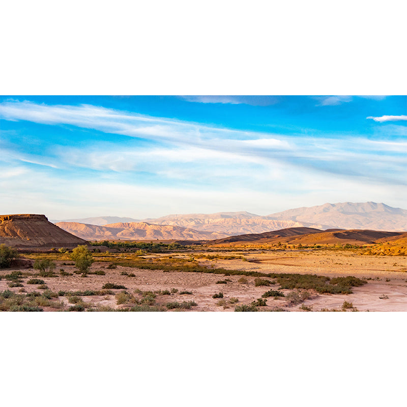 Customized Desert Wall Mural Modernism Mildew Resistant Wall Decor for Sitting Room