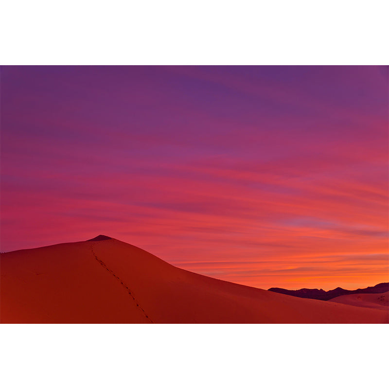 Desert Scenery Mural Environment Friendly Wallpaper Home Decoration for Dining Room