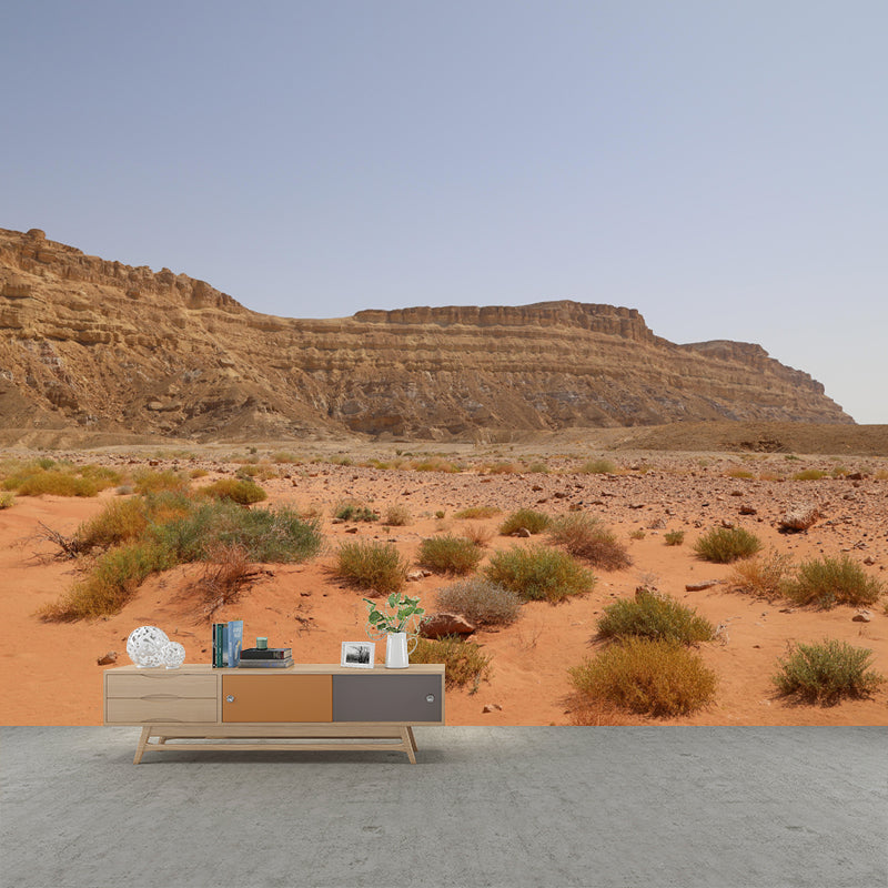 Contemporary Desert Scenery Wall Decor Living Room Wall Covering Mural for Decoration
