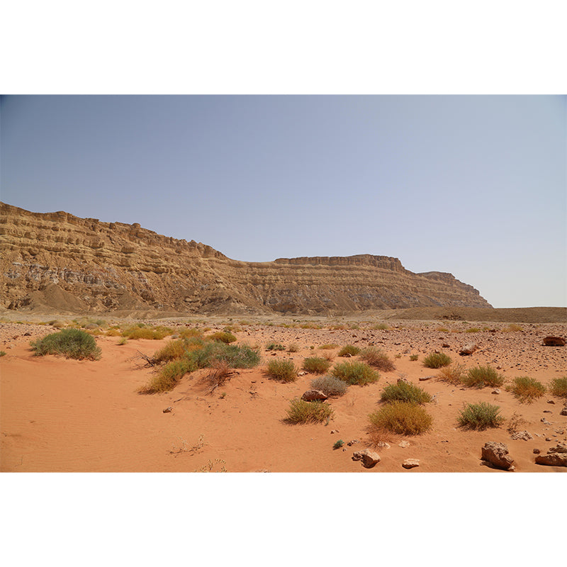 Contemporary Desert Scenery Wall Decor Living Room Wall Covering Mural for Decoration