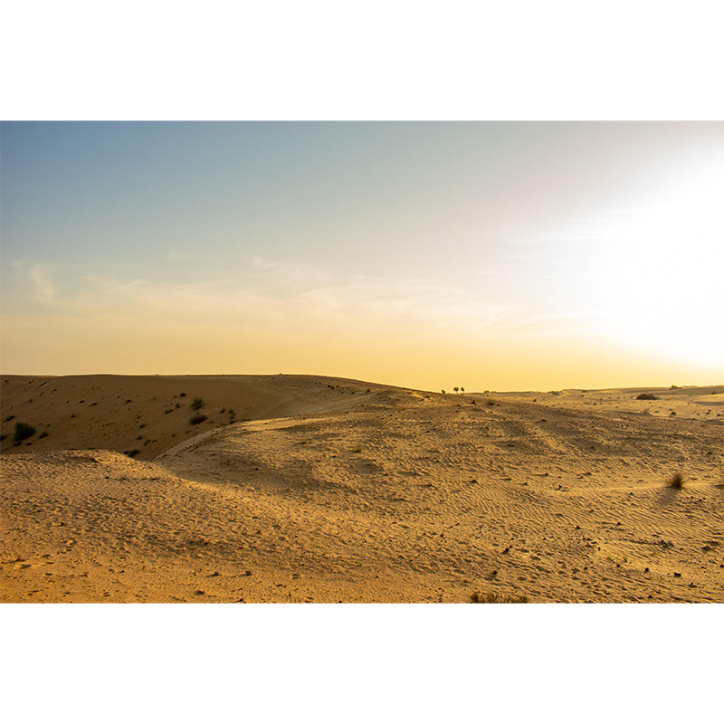 Customized Desert Wall Mural Modernism Mildew Resistant Wall Decor for Living Room