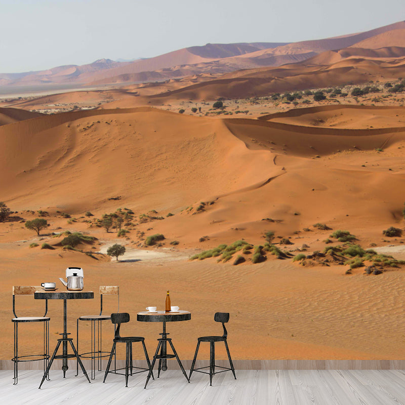 Customized Desert Wall Mural Modernism Mildew Resistant Wall Decor for Living Room