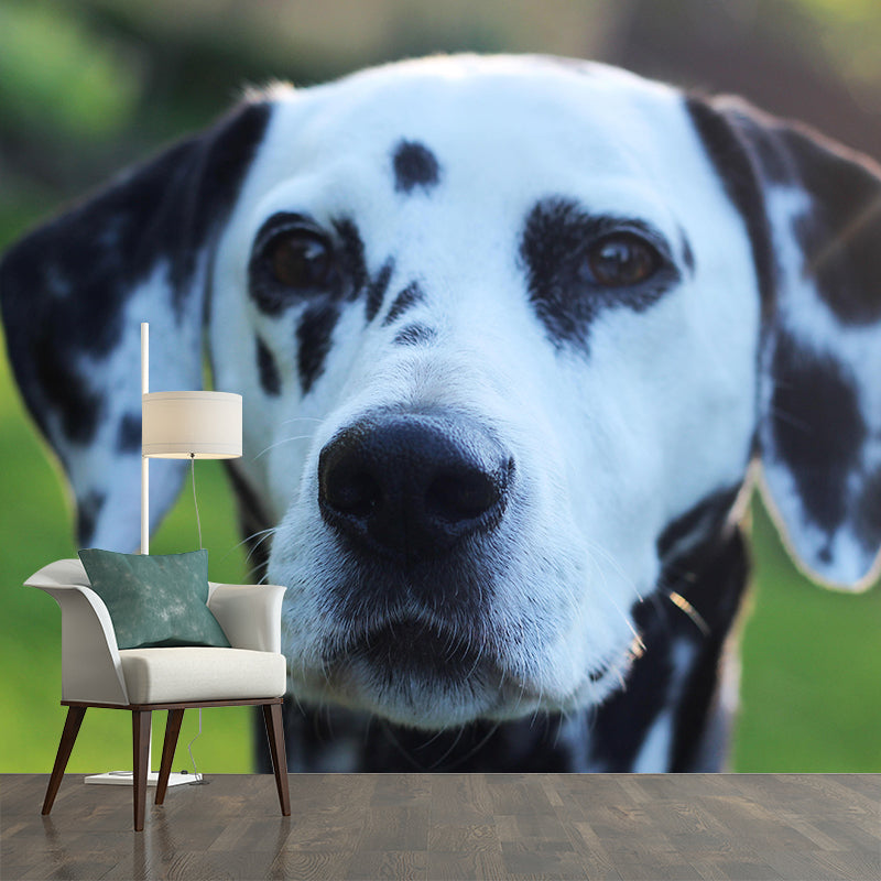 Horizontal Photography Dalmatians Mural Stain Resistant Wall Art for Living Room