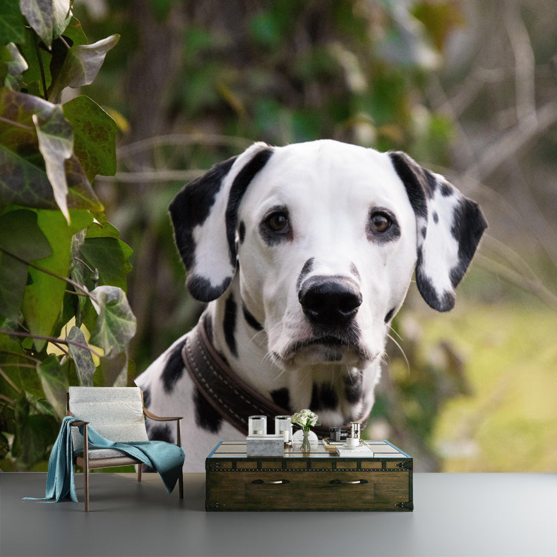 Horizontal Photography Dalmatians Mural Stain Resistant Wall Art for Living Room