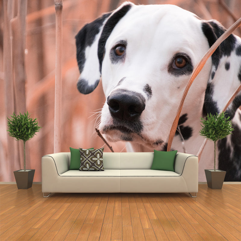 Horizontal Photography Dalmatians Mural Stain Resistant Wall Art for Living Room