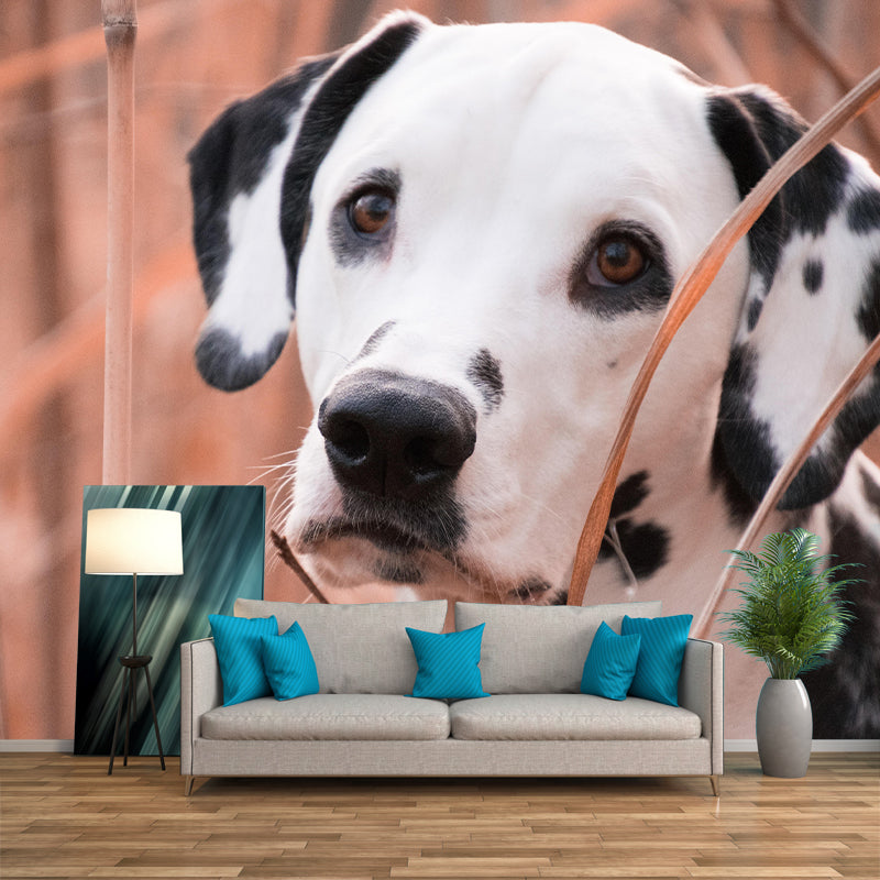 Horizontal Photography Dalmatians Mural Stain Resistant Wall Art for Living Room