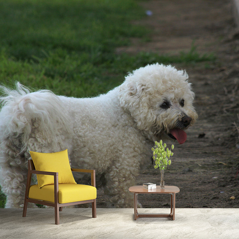 Horizontal Photography Bichon Frise Mural Stain Resistant Wall Art for Living Room