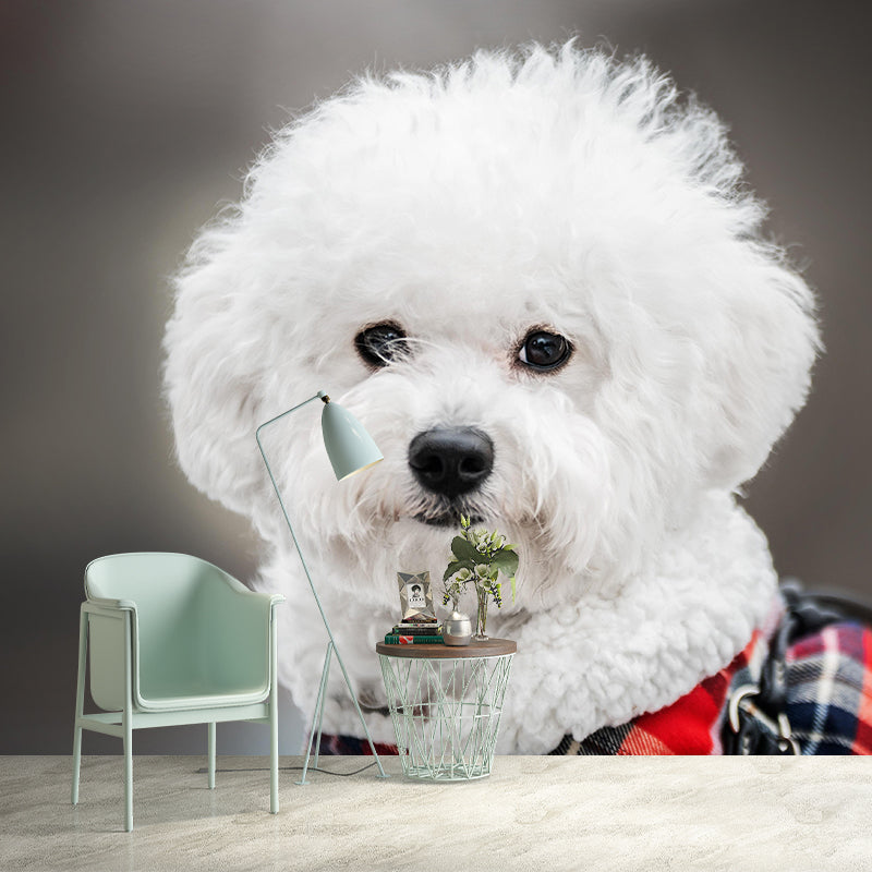 Horizontal Photography Bichon Frise Mural Stain Resistant Wall Art for Living Room