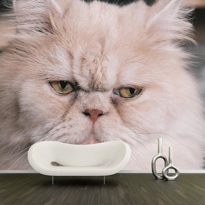 Horizontal Photography Persian Cat Mural Stain Resistant Wall Art for Living Room