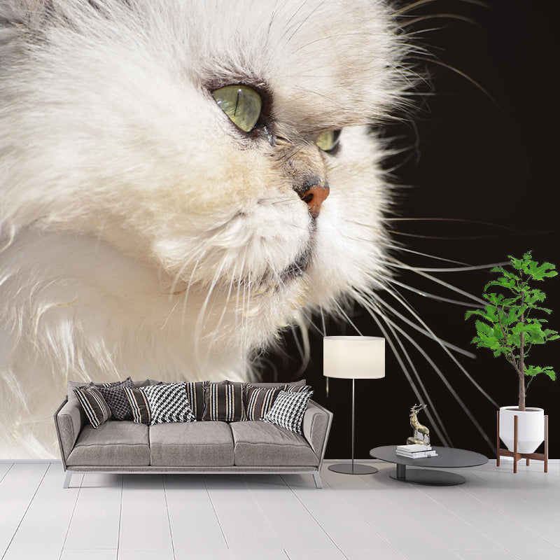 Horizontal Photography Persian Cat Mural Stain Resistant Wall Art for Living Room