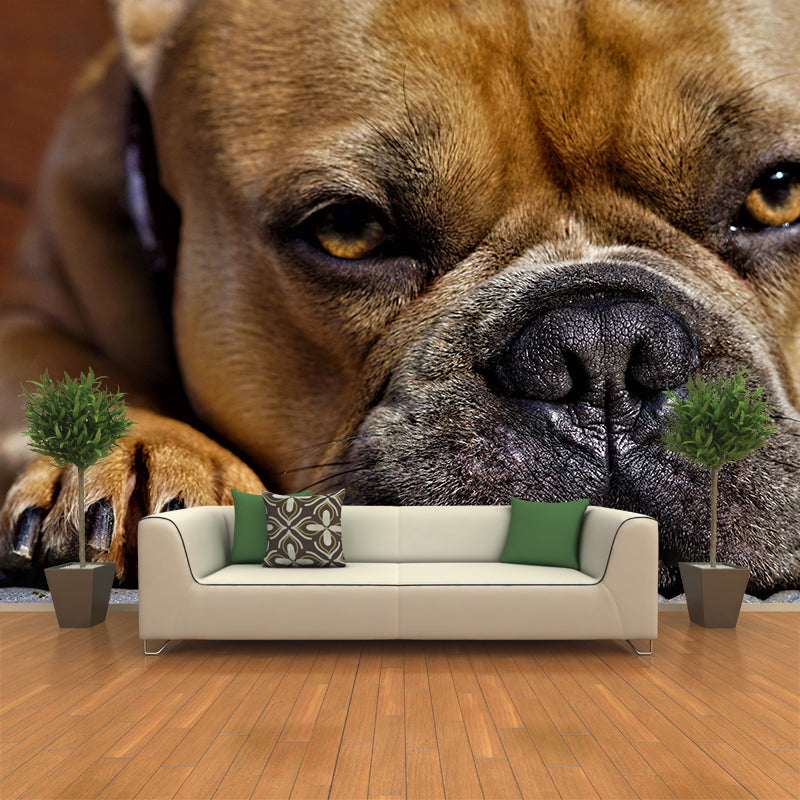 Horizontal Photography French Bulldog Mural Stain Resistant Wall Art for Bedroom