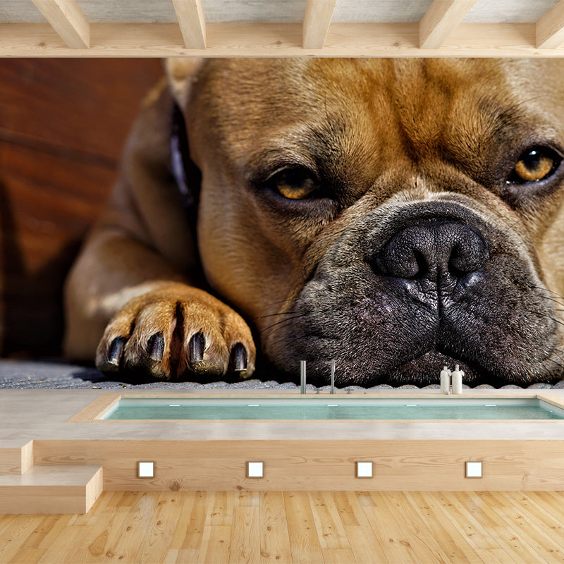 Horizontal Photography French Bulldog Mural Stain Resistant Wall Art for Bedroom