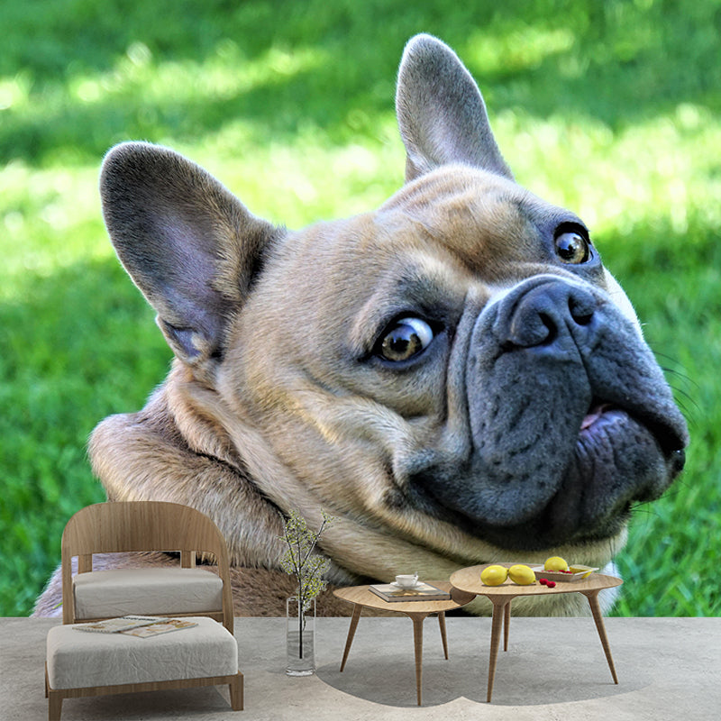 Horizontal Photography French Bulldog Mural Stain Resistant Wall Art for Bedroom