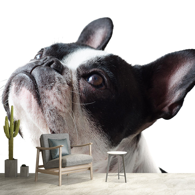 Horizontal Photography French Bulldog Mural Stain Resistant Wall Art for Bedroom