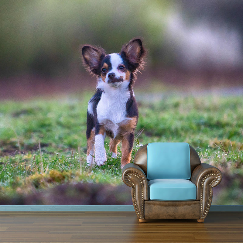 Horizontal Photography Chihuahua Mural Stain Resistant Wall Art for Living Room