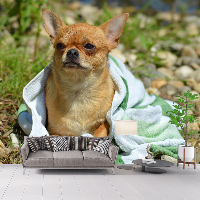 Horizontal Photography Chihuahua Mural Stain Resistant Wall Art for Living Room