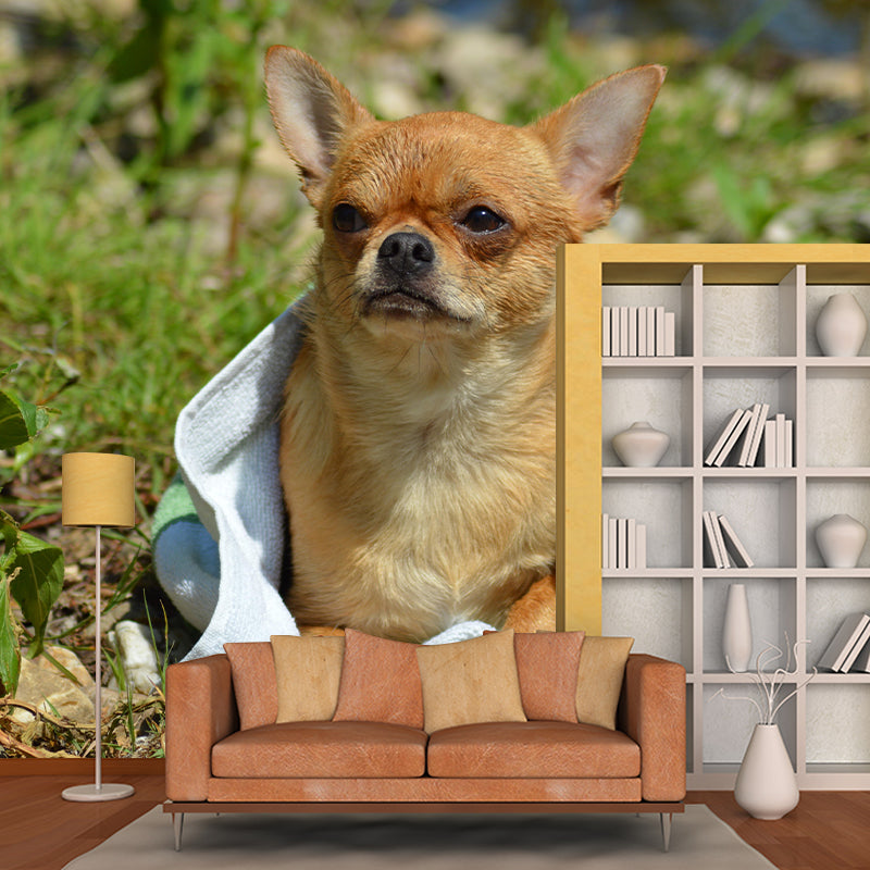 Horizontal Photography Chihuahua Mural Stain Resistant Wall Art for Living Room