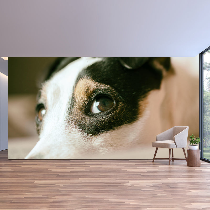 Horizontal Photography Lovely Dog Mural Stain Resistant Wall Art for Living Room