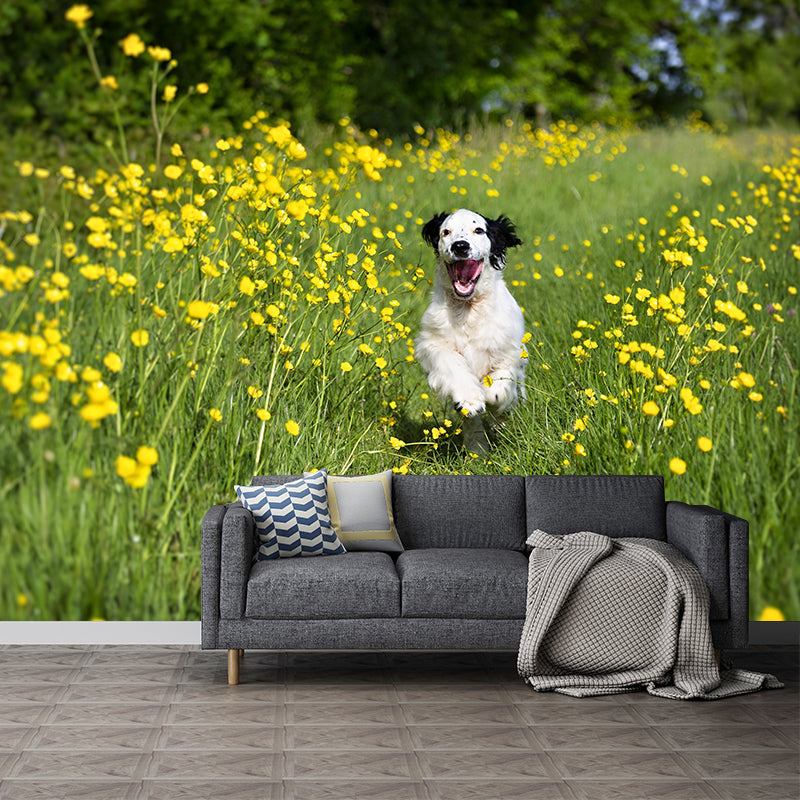 Horizontal Photography Cocker Spaniel Mural Stain Resistant Wall Art for Living Room