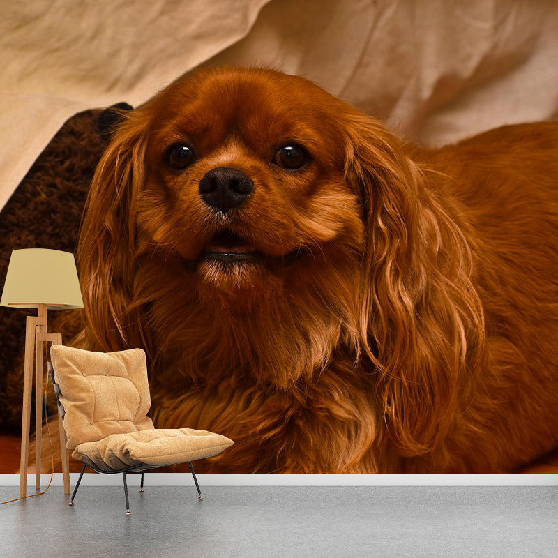 Horizontal Photography Cocker Spaniel Mural Stain Resistant Wall Art for Living Room