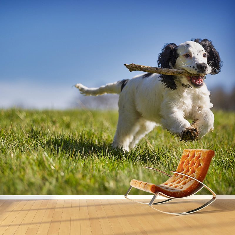 Horizontal Photography Cocker Spaniel Mural Stain Resistant Wall Art for Living Room