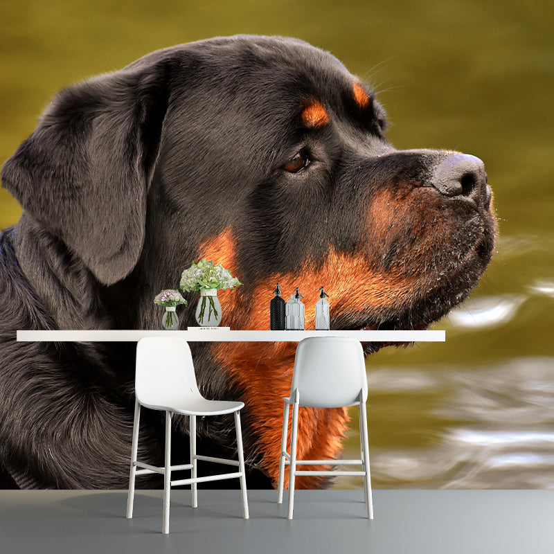 Horizontal Photography Rottweiler Mural Stain Resistant Wall Art for Living Room