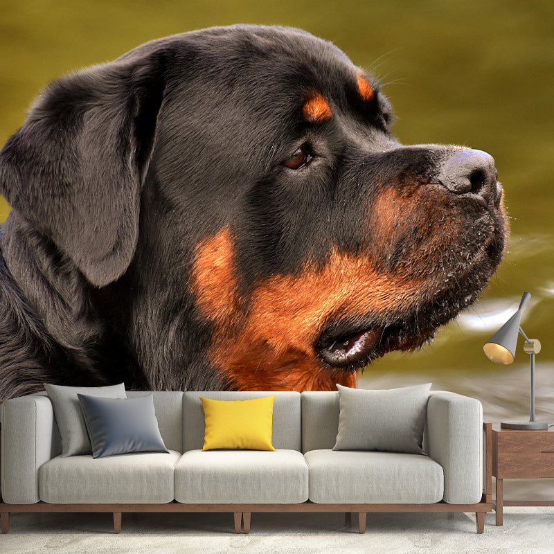 Horizontal Photography Rottweiler Mural Stain Resistant Wall Art for Living Room