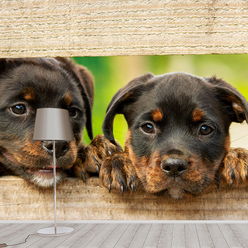 Horizontal Photography Rottweiler Mural Stain Resistant Wall Art for Living Room