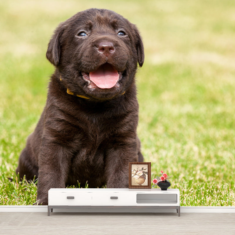 Horizontal Photography Puppy Mural Stain Resistant Wall Art for Living Room