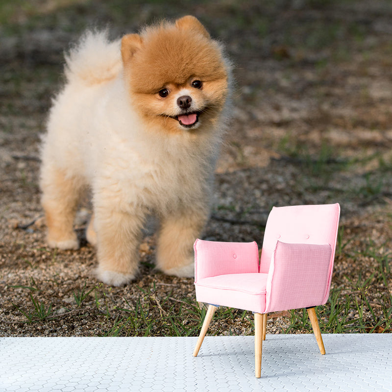 Horizontal Photography Puppy Mural Stain Resistant Wall Art for Living Room