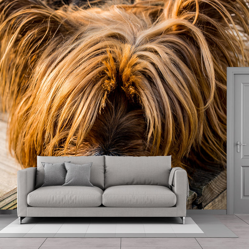 Horizontal Photography Yorkshire Terrier Mural Stain Resistant Wall Art for Bedroom