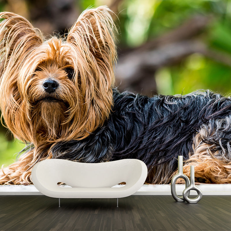 Horizontal Photography Yorkshire Terrier Mural Stain Resistant Wall Art for Bedroom
