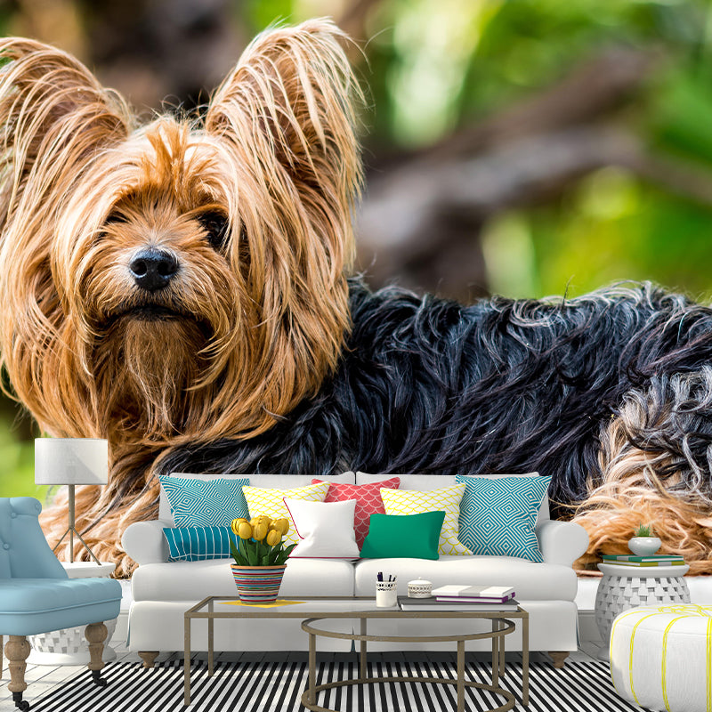 Horizontal Photography Yorkshire Terrier Mural Stain Resistant Wall Art for Bedroom